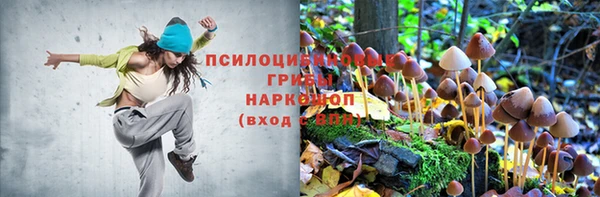 2c-b Абаза