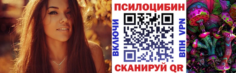 Псилоцибиновые грибы Psilocybe даркнет состав Тетюши